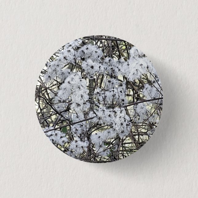 WILD CLEMATIS BUTTON (Vorderseite)