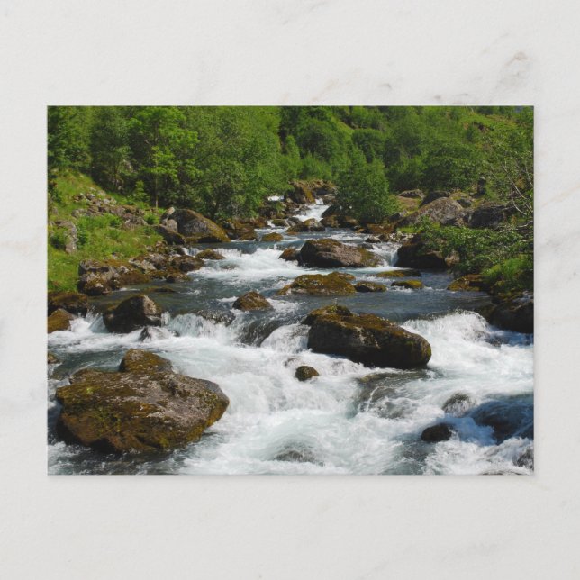 Wild Creek Postcard Postkarte (Vorderseite)