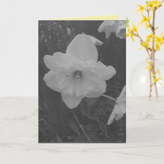 Wild Daffodil Karte (Gelbe Blume)