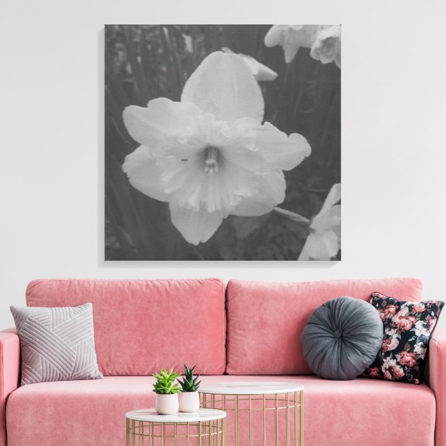 Wild Daffodil Leinwanddruck (Insitu (Wohnzimmer))