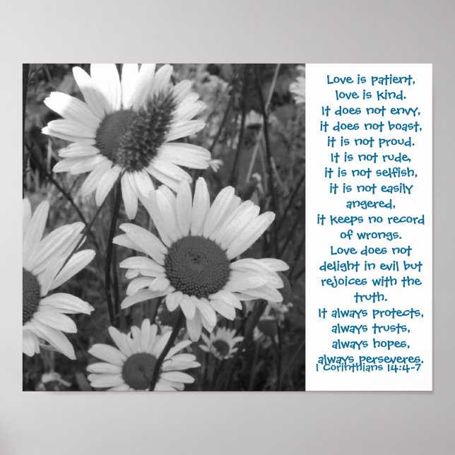 Wild Daisies Liebe Poster (Vorne)