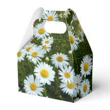 Wild Daisy Gastgeschenk Box