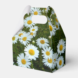 Wild Daisy Gastgeschenk Box Geschenkschachtel