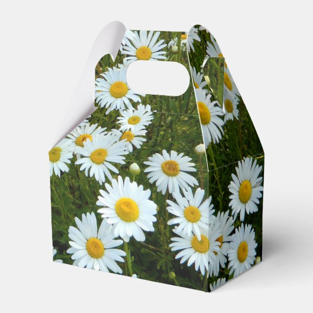 Wild Daisy Gastgeschenk Box Geschenkschachtel (Vorderseite)