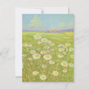 Wild Daisy von Cargill, 1937 Postkarte