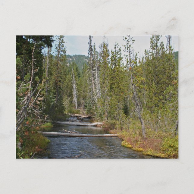 Wild Deschutes River, Oregon Postkarte (Vorderseite)