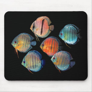 Wild Discus Mousepad