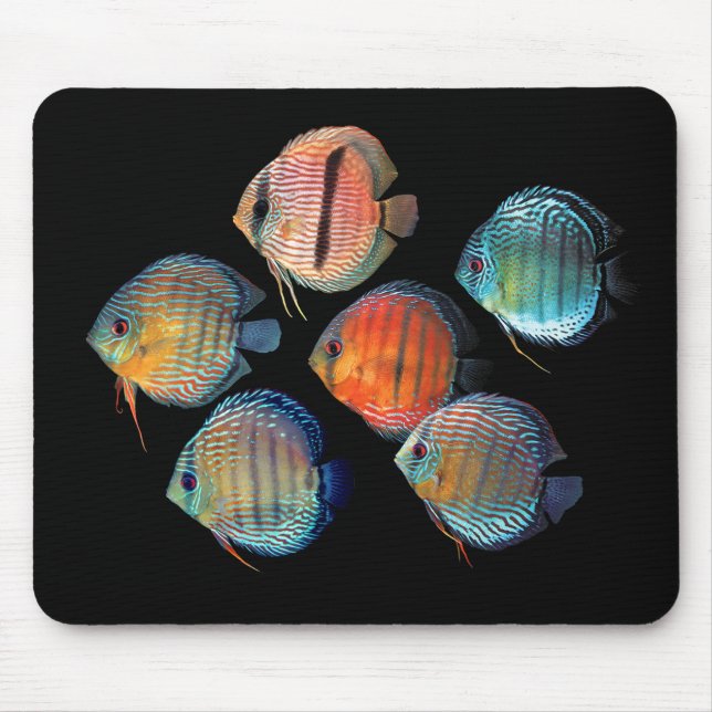 Wild Discus Mousepad (Vorne)