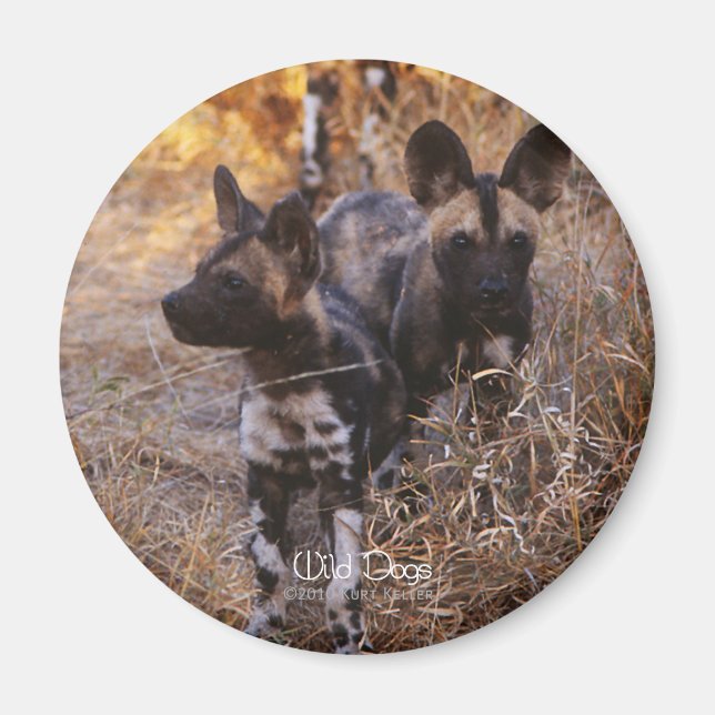 Wild Dogs Magnet (Vorne)
