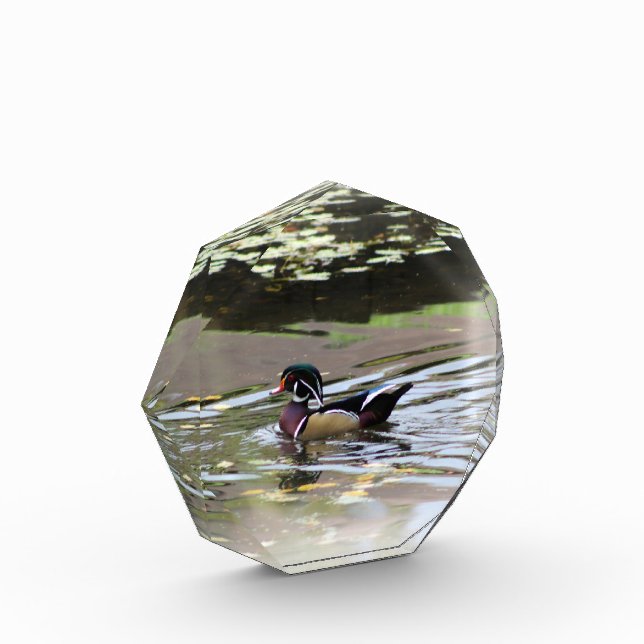 Wild Duck Foto Block (Links)