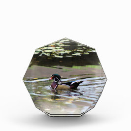 Wild Duck Foto Block