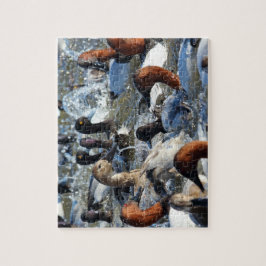 Wild Ducks Spashing Puzzle