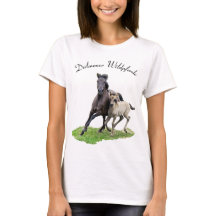 Wild Dulmen Horse Niedlich Foal _ Dülmener Wildpfe