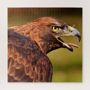 Wild Eagle Jigsaw Puzzle,676 Stk. Puzzle