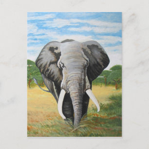 Wild Elephant Postkarte