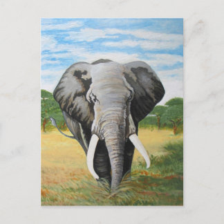 Wild Elephant Postkarte