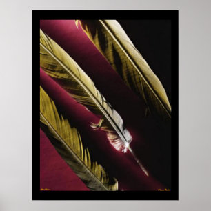 Wild Feathers Poster