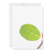 Wild Fig Rich Green Leaf Texture Card