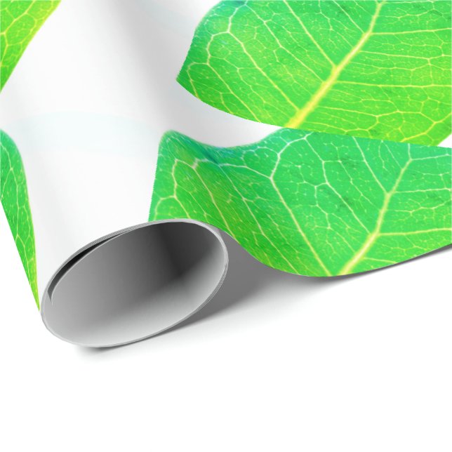 Wild Fig Rich grünes Leaf Textur Umhüllungspapier Geschenkpapier (Rolleneckpunkt)