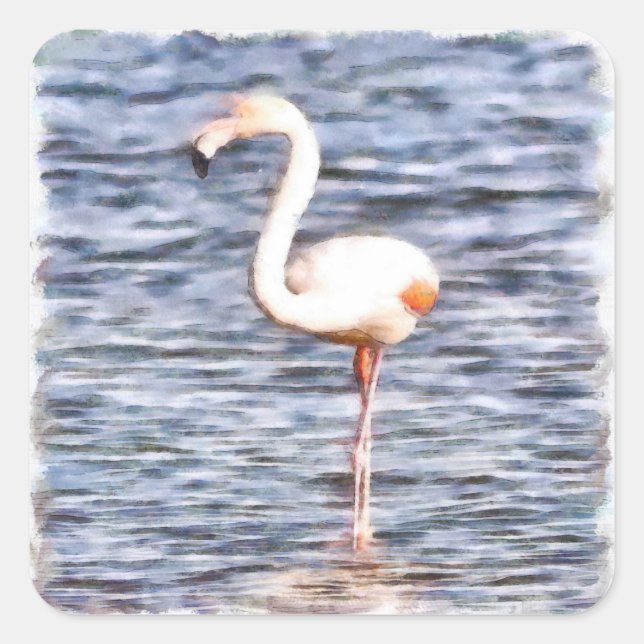 Wild Flamingo Quadratischer Aufkleber (Vorderseite)