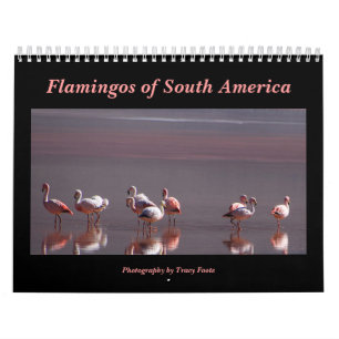 Wild Flamingo Südamerika Vögel Kalender