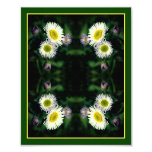 Wild Fleabane Daisy Blume Abstrakt 8x10 Fotodruck