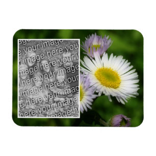 Wild Fleabane Daisy Blume Frame Ihr Foto hinzufüge Magnet