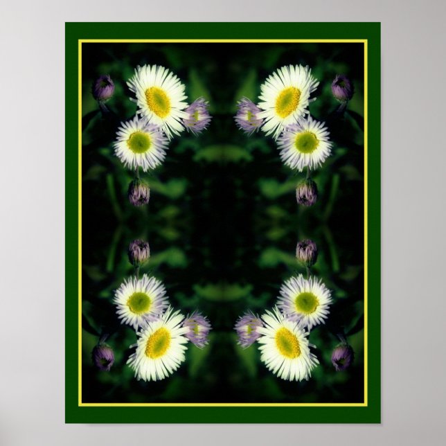 Wild Fleabane Daisy Blume Nah Abstrakt Poster (Vorne)