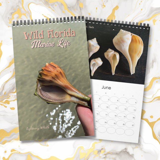 Wild Florida Marine Snails Hermit Crabs Custom Kalender (Von Creator hochgeladen)