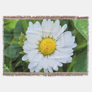 Wild Flower Rumänien – Botanische Makrofotografie Decke