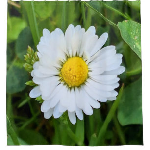 Wild Flower Rumänien – Botanische Makrofotografie Duschvorhang