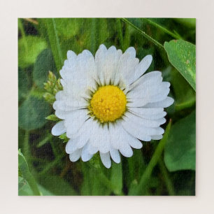 Wild Flower Rumänien – Botanische Makrofotografie Puzzle