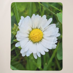 Wild Flower Rumänien – Botanische Makrofotografie Sherpadecke