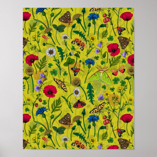 Wild flowers and moths 2 poster (Vorne)