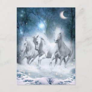 Wild Flurry Postkarte