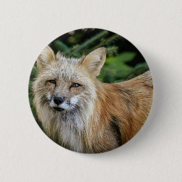Wild Fox Button