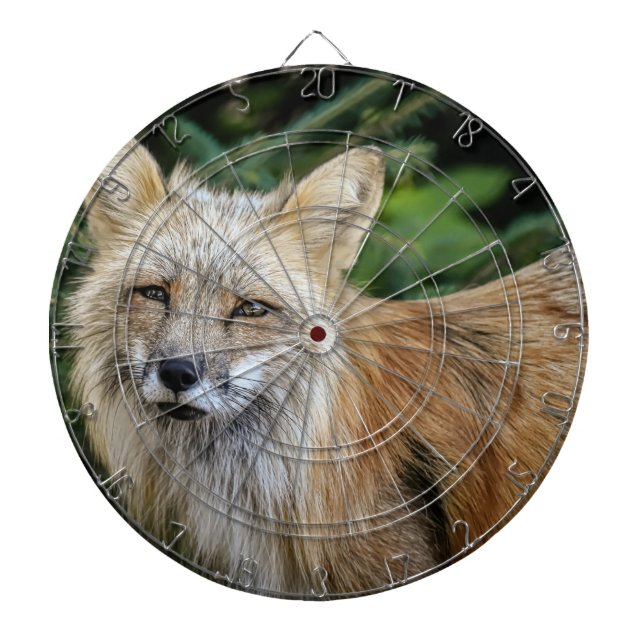 Wild Fox Dartscheibe (vorne)