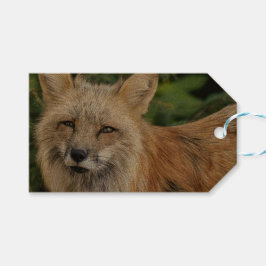 Wild Fox Geschenkanhänger