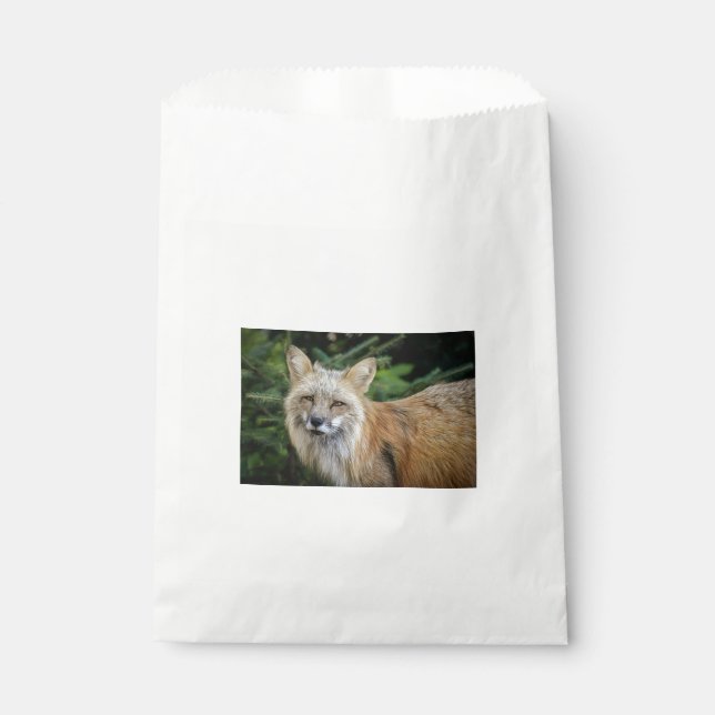 Wild Fox Geschenktütchen (Vorderseite)
