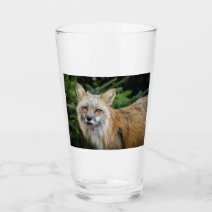 Wild Fox Glas