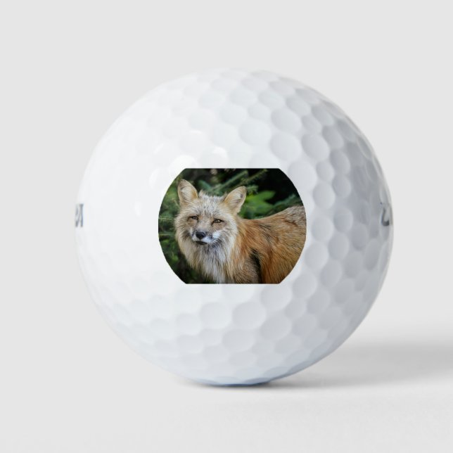Wild Fox Golfball (Vorderseite)
