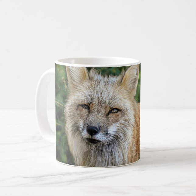Wild Fox Kaffeetasse (Vorderseite Links)