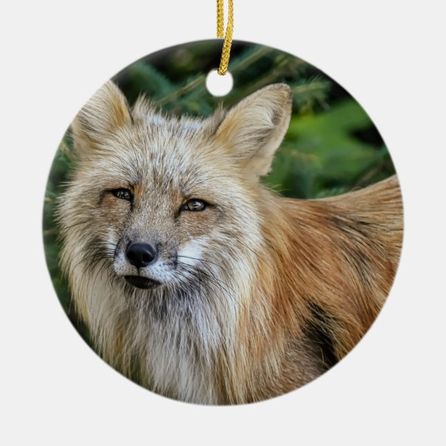 Wild Fox Keramik Ornament (Vorne)