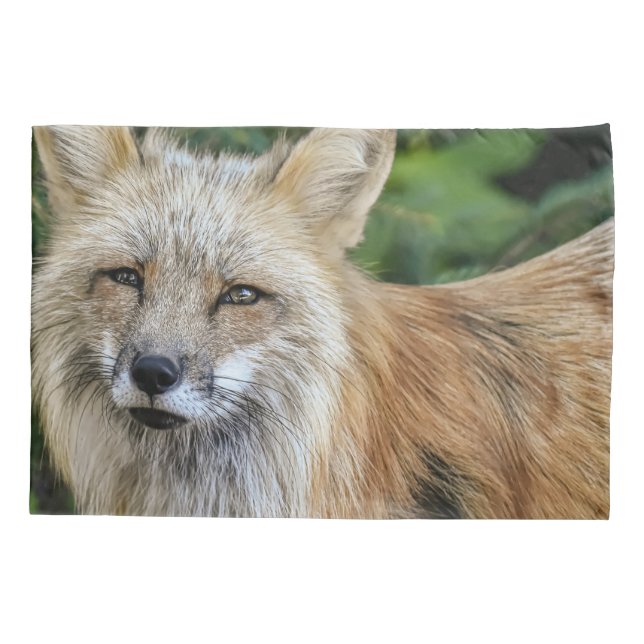 Wild Fox Kissenbezug (Rückseite)