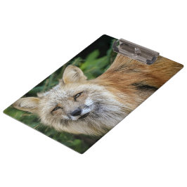 Wild Fox Klemmbrett