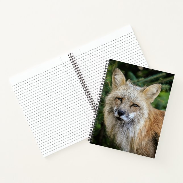 Wild Fox Notizbuch (Innenseite)