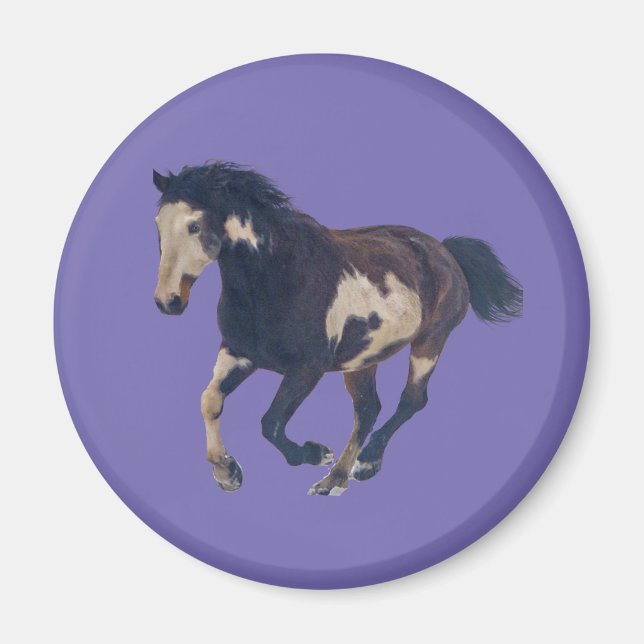 Wild Galloping Pinto American Paint Horse Magnet (Vorne)