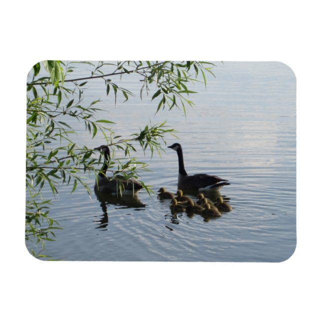 Wild Geese Flexible Magnet (Horizontal)