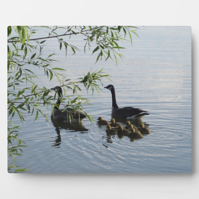 Wild Geese Plaque Fotoplatte (Vorderseite)