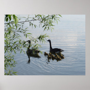 Wild Geese Print Poster